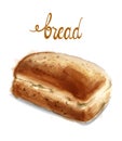 Watercolor bread Vector illustration. Vintage homemade bakery
