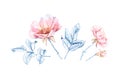 Watercolor Briar flowers collection. Botanic hand drawn illustration with blue ink leaves and pink petals. Set of