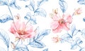 Watercolor Briar flowers seamless pattern. Botanic hand drawn sketch. Rose leaves, buds and blue leaves on white for