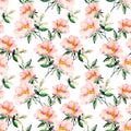 Watercolor briar flowers seamless pattern. Dog Rose branches