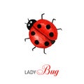 Funny watercolor ladybug, bright cartoon insects. Greeting card with text. Isolated on white background