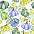 Watercolor bright pumpkin seamless pattern. Hand painted pumpkin ornament with flower, leaves and branch isolated on Royalty Free Stock Photo