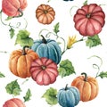 Watercolor bright pumpkin seamless pattern. Hand painted pumpkin ornament with flower, leaves and branch isolated on