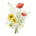 Watercolor bright wild flower bouquet. Arragement composition with meadow wildflowers