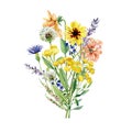 Watercolor bright wild flower bouquet. Arragement composition with meadow wildflowers