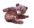 Watercolor brown bear child animal illustration isolated