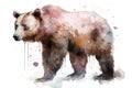 Watercolor brown bear illustration on white background Royalty Free Stock Photo