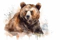 Watercolor brown bear illustration on white background Royalty Free Stock Photo