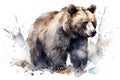 Watercolor brown bear illustration on white background Royalty Free Stock Photo