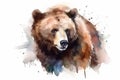 Watercolor brown bear illustration on white background Royalty Free Stock Photo