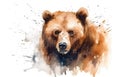 Watercolor brown bear portrait illustration on white background Royalty Free Stock Photo