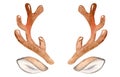 Watercolor brown deer antler isolated on white background Royalty Free Stock Photo