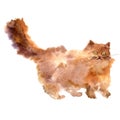 Watercolor brown fluffy cat