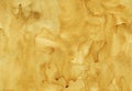 Watercolor brown yellow background texture. Aquarelle abstract old golden color backdrop