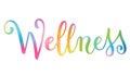 Watercolor brush calligraphy concept word WELLNESS