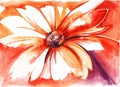 Watercolor brush stroke image of charming daisy on vivid red, orange and purple background. Garden flower with numerous Royalty Free Stock Photo