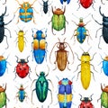 Watercolor bug beetle pattern Royalty Free Stock Photo
