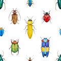 Watercolor bug beetle pattern