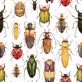 Watercolor bug beetle pattern Royalty Free Stock Photo