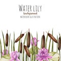 Watercolor bulrush and pink lotus background, greeting card template, artistic design background