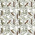 Watercolor bulrush seamless pattern