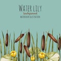 Watercolor bulrush and yellow water lily background, greeting card template Royalty Free Stock Photo