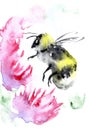 Watercolor Bumble Bee on daisy flower painting