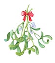 Watercolor bunch of mistletoe.Christmas tradition of kissing.Watercolor winter illustration