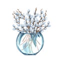 Watercolor bunch of pussy willow twigs in a glass vase. Spring bouquet. Easter decorations. Hand drawn illustration