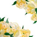 Watercolor bunner of yellow japanese peonies