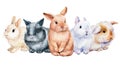 Watercolor bunnies on an isolated white background