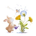 Watercolor Bunny Clipart, Dandelion Watercolor, Birds Singing Illustrations