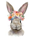 Watercolor bunny illustration. Rabbit with spring bouquet. Royalty Free Stock Photo