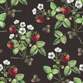 Watercolor bush strawberry for decor.