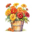 A bushel basket of red, orange, yellow, zinnias flowers bouquet