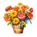 A bushel basket of red, orange, yellow, zinnias flowers bouquet