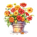 A bushel basket of red, orange, yellow, zinnias flowers bouquet