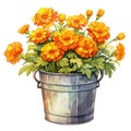 Bushel basket full of vibrant marigolds