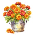 Bushel basket full of vibrant marigolds