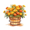 Bushel basket full of vibrant marigolds