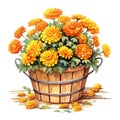 Bushel basket full of vibrant marigolds