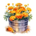 Bushel basket full of vibrant marigolds