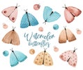 Watercolor Butterflies Clipart. Gentle Moth with abstract spots set. Watercolor hand painting illustration on white background