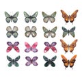 watercolor butterflies clipart. Hand drawn illustration.