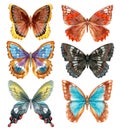 Watercolor Butterflies Set