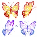 Watercolor butterflies set isolated on white Royalty Free Stock Photo