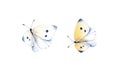 Watercolor butterflies set. Two realistic insects painting isolated on white. Detailed white and yellow wings. Hand