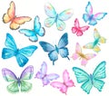 Watercolor butterflies set on white