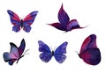 watercolor butterflies on a transparent background