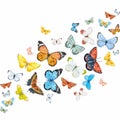 Watercolor Butterflies Vector Set